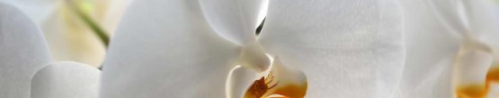img2755
