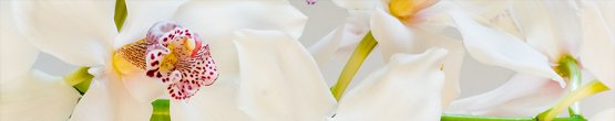 img47