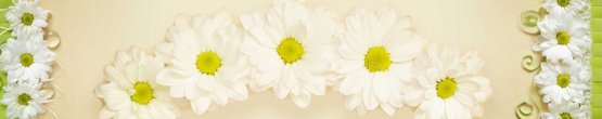 img478