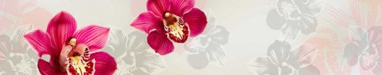 img493