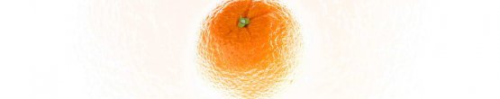 img1543