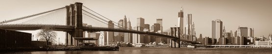 img446