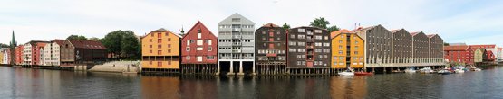 img559