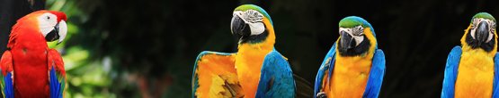 img27