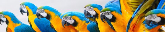 img59