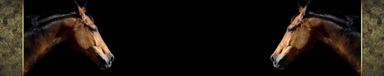 img96