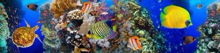 img216_m