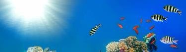 img228_m