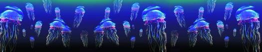 img237_m