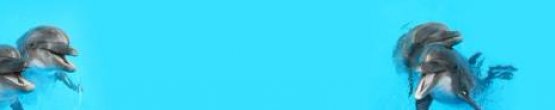 img248_m
