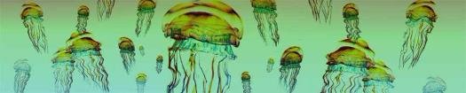 img251_m