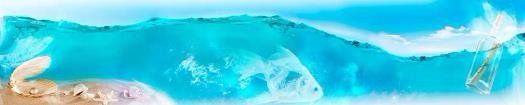 img258_m