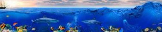 img260_m