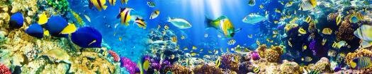 img265_m