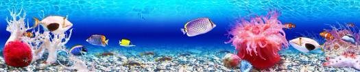 img266_m