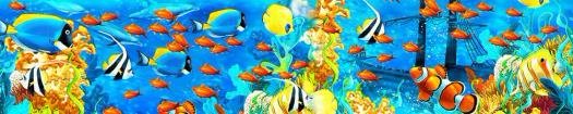 img267_m