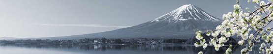 img560