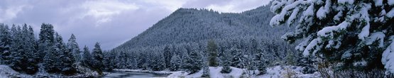 img711