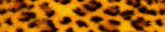 img27